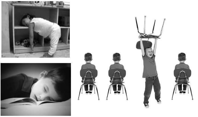 Иллюстрация к книге — Укус эволюции. Откуда у современного человека неправильный прикус, кривые зубы и другие деформации челюсти [i_037.jpg]