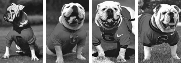 Иллюстрация к книге — Укус эволюции. Откуда у современного человека неправильный прикус, кривые зубы и другие деформации челюсти [i_041.jpg]