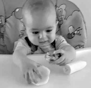 Иллюстрация к книге — Укус эволюции. Откуда у современного человека неправильный прикус, кривые зубы и другие деформации челюсти [i_045.jpg]