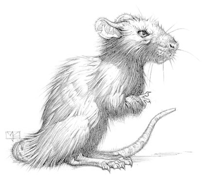 Иллюстрация к книге — Магика [i_018.jpg]