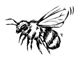 Иллюстрация к книге — Кольцо времён. Проклятие Сета [i_014.jpg]