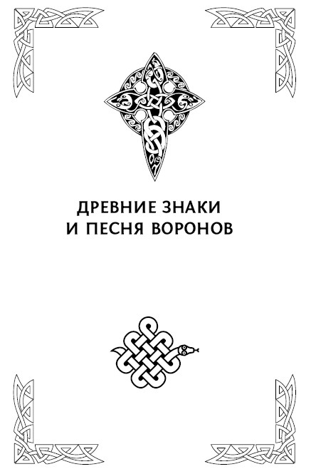Иллюстрация к книге — Большая книга рун. Северная магия, которая может все! [i_004.jpg]