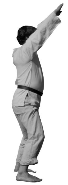 Иллюстрация к книге — Большая книга рун. Северная магия, которая может все! [i_140.jpg]