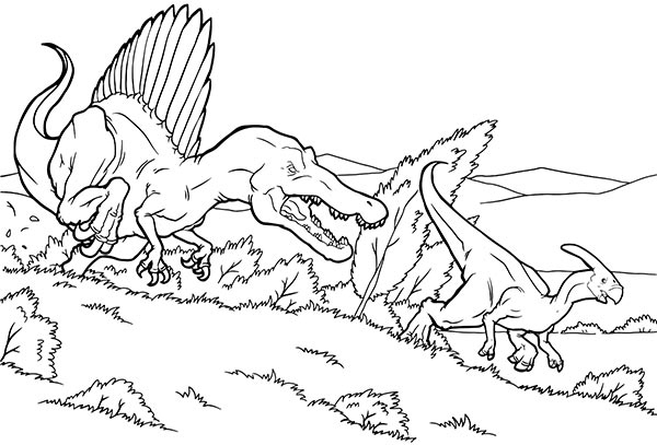 Иллюстрация к книге — Увлекательная анатомия [i_006.jpg]