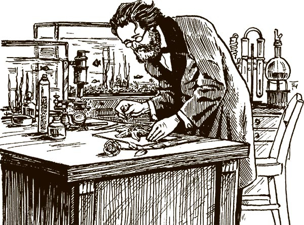 Иллюстрация к книге — Увлекательная анатомия [i_017.jpg]