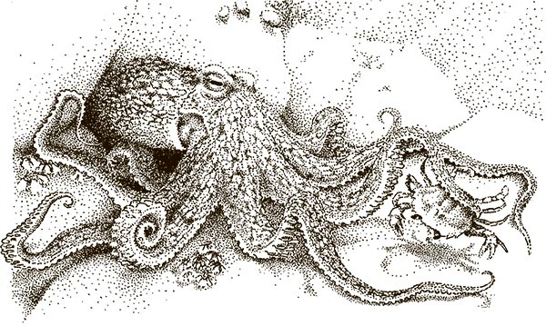 Иллюстрация к книге — Увлекательная анатомия [i_043.jpg]