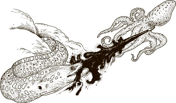 Иллюстрация к книге — Увлекательная анатомия [i_046.jpg]