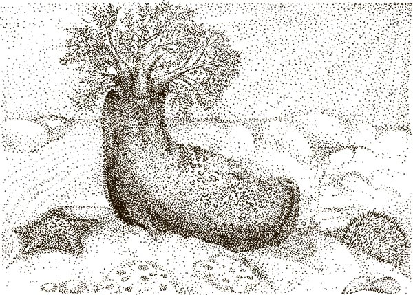 Иллюстрация к книге — Увлекательная анатомия [i_068.jpg]