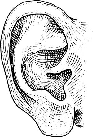 Иллюстрация к книге — Увлекательная анатомия [i_085.jpg]