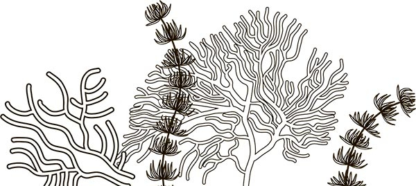 Иллюстрация к книге — Увлекательная анатомия [i_094.jpg]