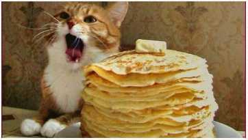 Иллюстрация к книге — Маленькая хозяйка замка Шгрив [i_034.jpg]