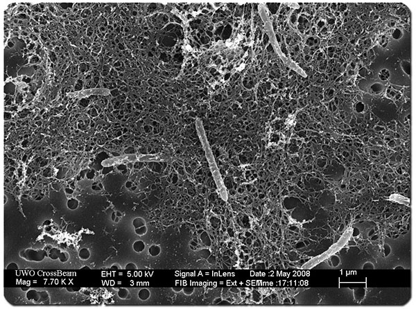 Иллюстрация к книге — Подземный мир. Нижние этажи цивилизации [i_020.jpg]