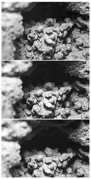 Иллюстрация к книге — Подземный мир. Нижние этажи цивилизации [i_048.jpg]