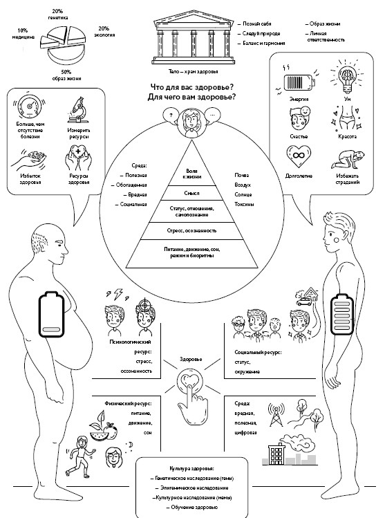 Иллюстрация к книге — Воля к жизни. Как использовать ресурсы здоровья по максимуму [i_008.jpg]