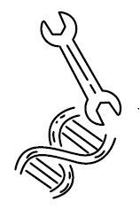 Иллюстрация к книге — Воля к жизни. Как использовать ресурсы здоровья по максимуму [i_021.jpg]