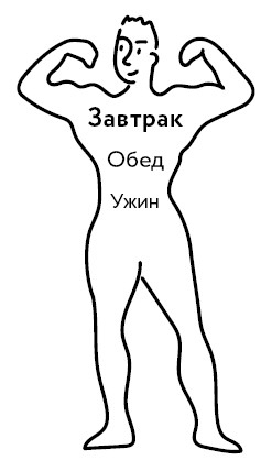 Иллюстрация к книге — Воля к жизни. Как использовать ресурсы здоровья по максимуму [i_028.jpg]