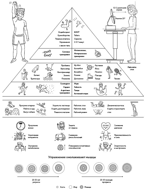 Иллюстрация к книге — Воля к жизни. Как использовать ресурсы здоровья по максимуму [i_048.jpg]