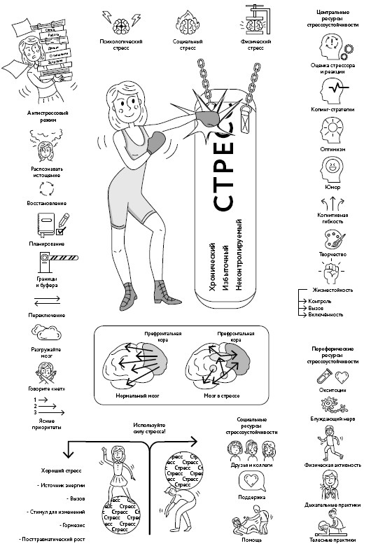 Иллюстрация к книге — Воля к жизни. Как использовать ресурсы здоровья по максимуму [i_071.jpg]