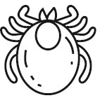 Иллюстрация к книге — Воля к жизни. Как использовать ресурсы здоровья по максимуму [i_111.jpg]