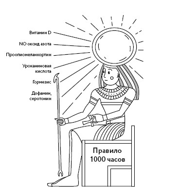 Иллюстрация к книге — Воля к жизни. Как использовать ресурсы здоровья по максимуму [i_116.jpg]