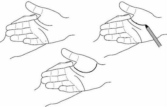 Иллюстрация к книге — Ваши руки и ладони раскрывают вам секреты. Хиромантические этюды [_03.jpg]