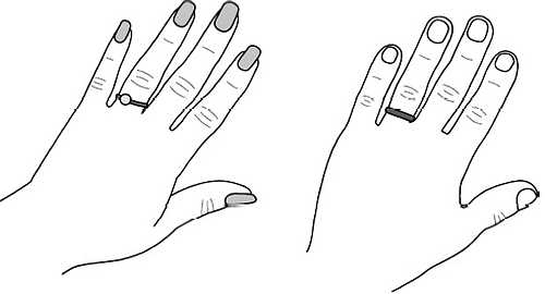 Иллюстрация к книге — Ваши руки и ладони раскрывают вам секреты. Хиромантические этюды [_07.jpg]