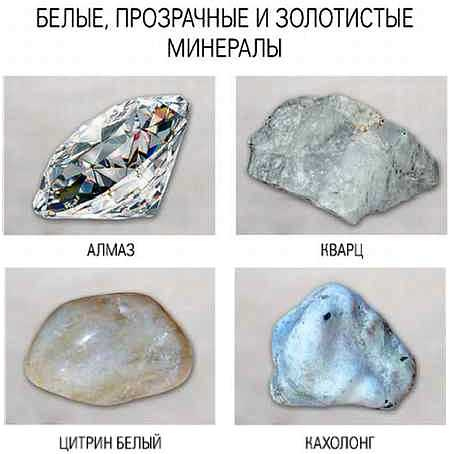 Иллюстрация к книге — Ваши руки и ладони раскрывают вам секреты. Хиромантические этюды [_16.jpg]