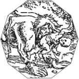 Иллюстрация к книге — Человек, научивший мир читать. История Великой информационной революции [i_021.jpg]