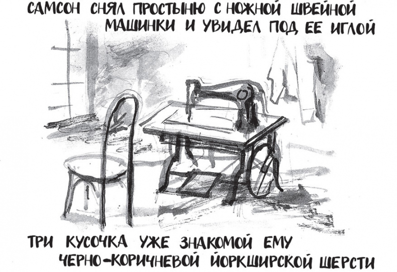 Иллюстрация к книге — Самсон и Надежда [i_026.jpg]