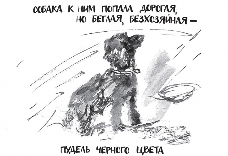 Иллюстрация к книге — Самсон и Надежда [i_028.jpg]