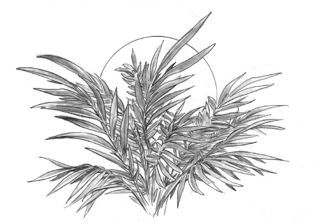 Иллюстрация к книге — Чудо-женщина. Амазонка-воительница [i_072.jpg]