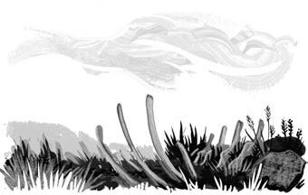 Иллюстрация к книге — Хождение в Похъёлу [i_007.jpg]