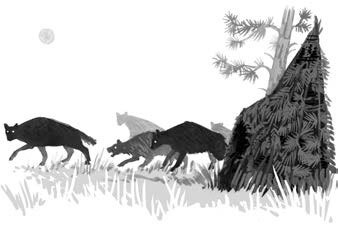 Иллюстрация к книге — Хождение в Похъёлу [i_012.jpg]