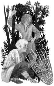 Иллюстрация к книге — Хождение в Похъёлу [i_018.jpg]