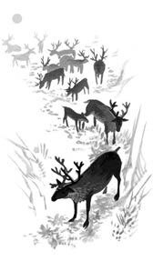 Иллюстрация к книге — Хождение в Похъёлу [i_019.jpg]