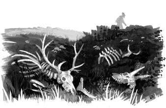 Иллюстрация к книге — Хождение в Похъёлу [i_020.jpg]