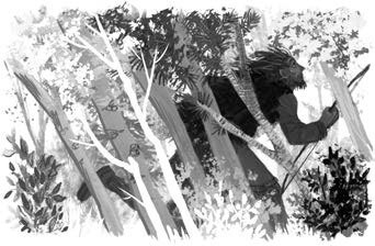 Иллюстрация к книге — Хождение в Похъёлу [i_026.jpg]