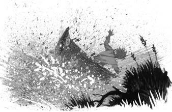 Иллюстрация к книге — Хождение в Похъёлу [i_030.jpg]