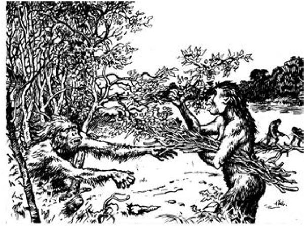 Иллюстрация к книге — Рам и Гау. Повесть об обезьянолюдях [i_006.jpg]