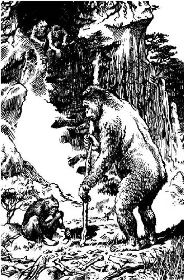 Иллюстрация к книге — Рам и Гау. Повесть об обезьянолюдях [i_008.jpg]