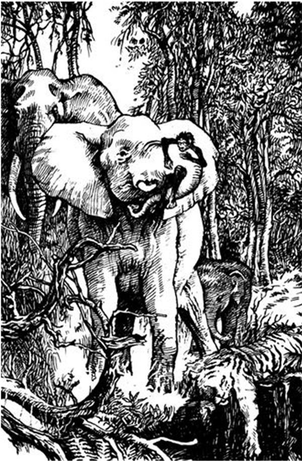 Иллюстрация к книге — Рам и Гау. Повесть об обезьянолюдях [i_011.jpg]