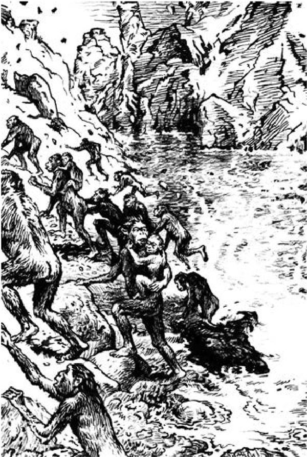 Иллюстрация к книге — Рам и Гау. Повесть об обезьянолюдях [i_018.jpg]