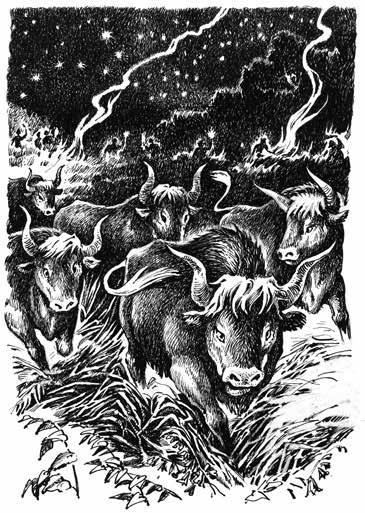 Иллюстрация к книге — Гирр – сын Агу [i_009.jpg]