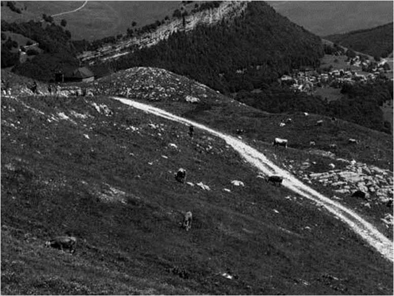 Иллюстрация к книге — Вкусная Венеция. Любовь, еда и тайны северной Италии [image31.jpg]