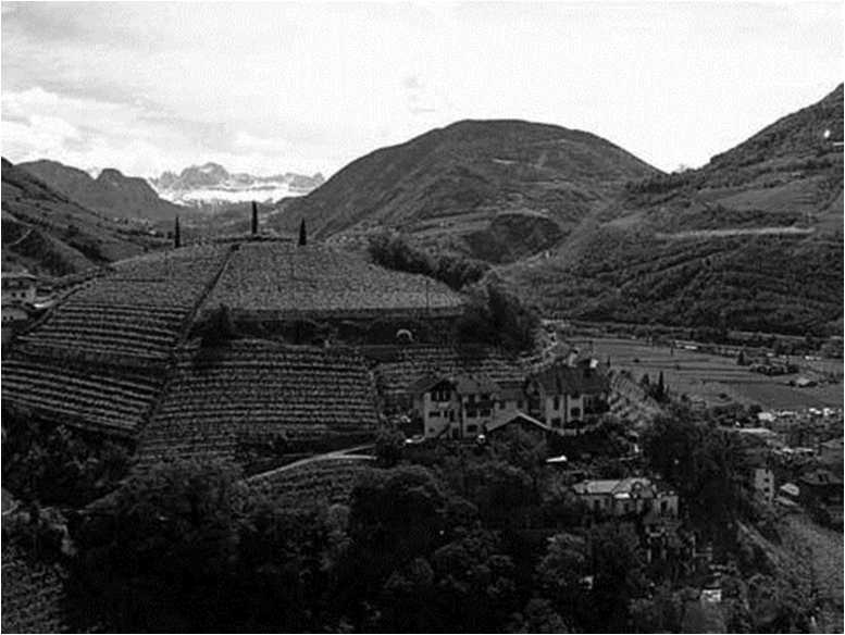 Иллюстрация к книге — Вкусная Венеция. Любовь, еда и тайны северной Италии [image32.jpg]