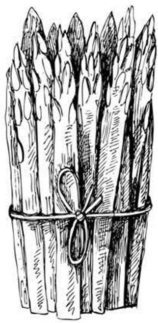 Иллюстрация к книге — Вкусная Венеция. Любовь, еда и тайны северной Италии [image33.jpg]