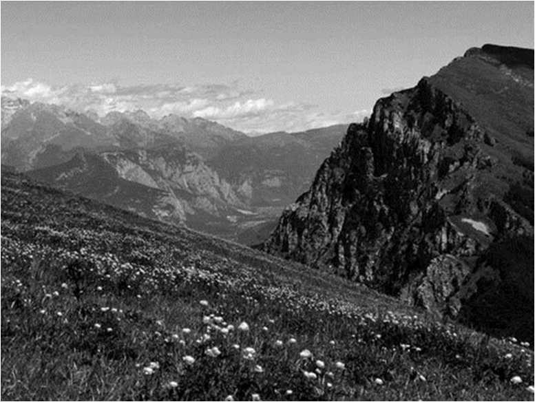 Иллюстрация к книге — Вкусная Венеция. Любовь, еда и тайны северной Италии [image39.jpg]