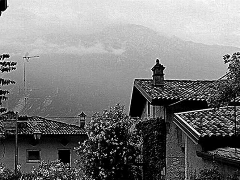 Иллюстрация к книге — Вкусная Венеция. Любовь, еда и тайны северной Италии [image44.jpg]