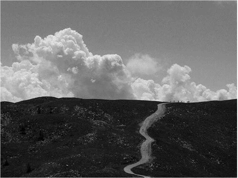 Иллюстрация к книге — Вкусная Венеция. Любовь, еда и тайны северной Италии [image46.jpg]