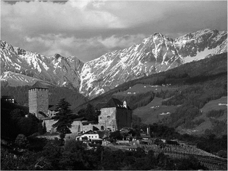 Иллюстрация к книге — Вкусная Венеция. Любовь, еда и тайны северной Италии [image54.jpg]